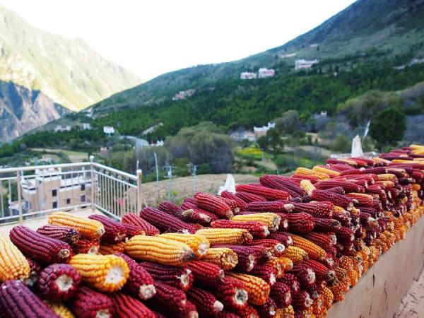 大渡河畔的川西世外桃源，被評為一生中必去古鎮，盛產美人