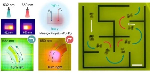 光碟機動游泳驅動器研究取得進展 光碟機動游泳驅動器研究取得進展