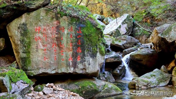 河南這個免門票的景區，爬山不累人，秋景好看，適合中老年人