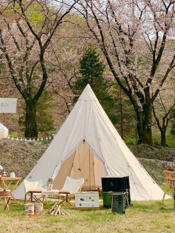 一場精緻的風格露營，需要哪些裝備？