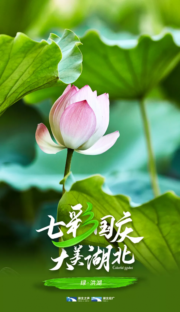 今天,給點綠色你看看 今天,給點綠色你看看