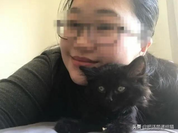 留學生被拒20次終於領養到貓，半年後發現小貓咪居然變色了