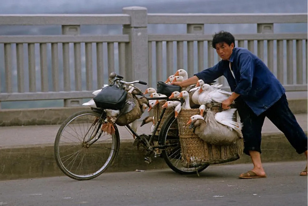 滿滿的感動，每一張老照片都是故事，美好的八十年代
