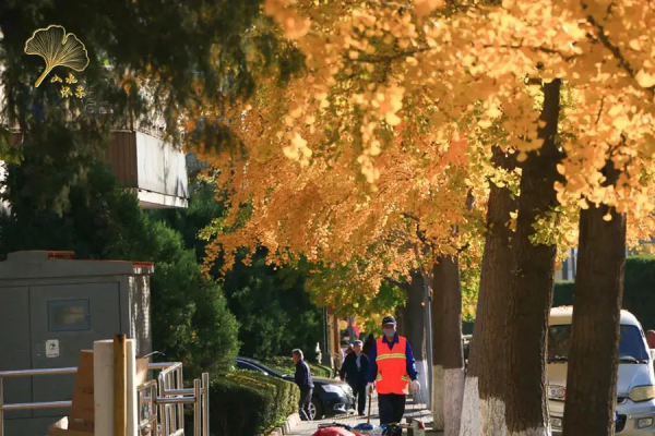 【玩轉懷柔】2021懷柔賞秋攻略出爐！一個字，絕！