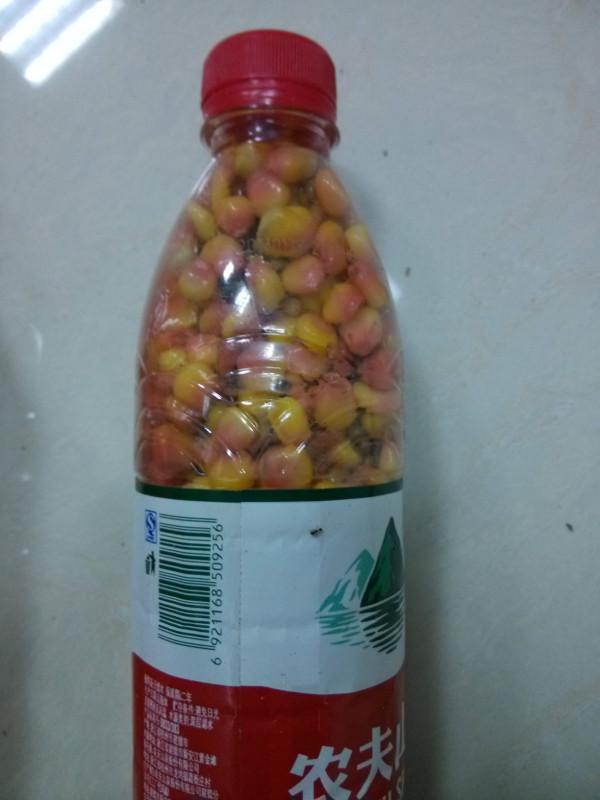 夜釣想要上大魚，記得把握好這兩種窩餌分家的作釣思路