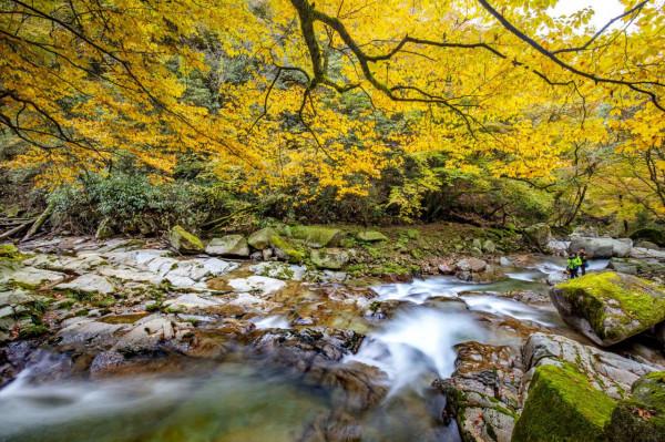 秘境南壩溝——四川光霧山 秘境南壩溝——四川光霧山