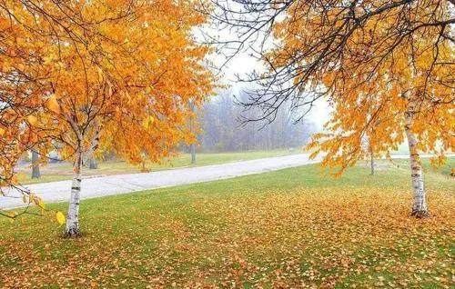 詠菊七絕三十首(30韻) 詠菊七絕三十首(30韻)