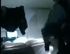 美國又亂了！無辜黑人男子被警察射殺，大批群眾湧上街頭髮表抗議