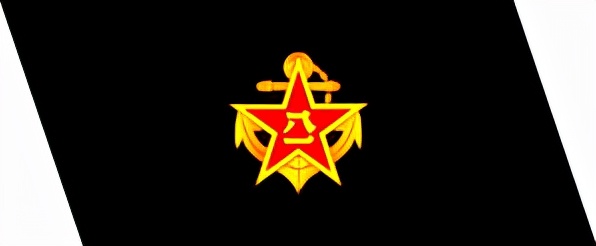 歷史上的解放軍軍裝（二）：85式軍裝服飾的講解，老兵！請入列