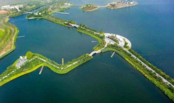 逆襲為百億富豪的秦榮華，從日本買10000根木頭：這本就是中國的