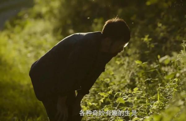 胡歌《但是還有書籍》，繪本不能征服王國，但它守護孩子的童心