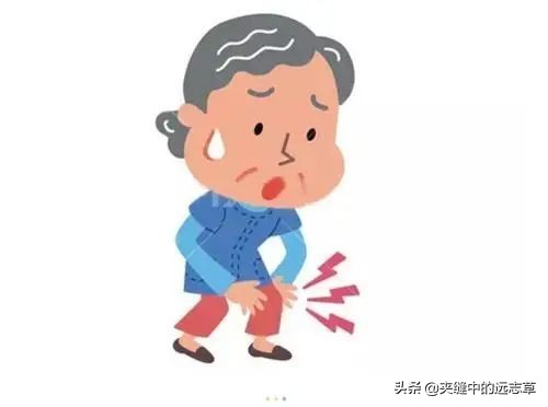 既上火，又怕冷？一劑黃連湯，清上溫下，改善你的上熱下寒