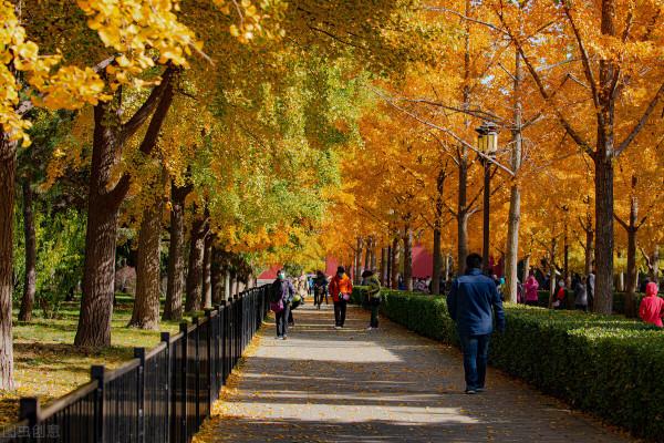 10月份欣賞秋色最值得去的10個地方 10月份欣賞秋色最值得去的10個地方