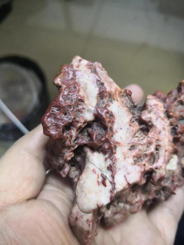 沒看懂的石頭還是要留一留