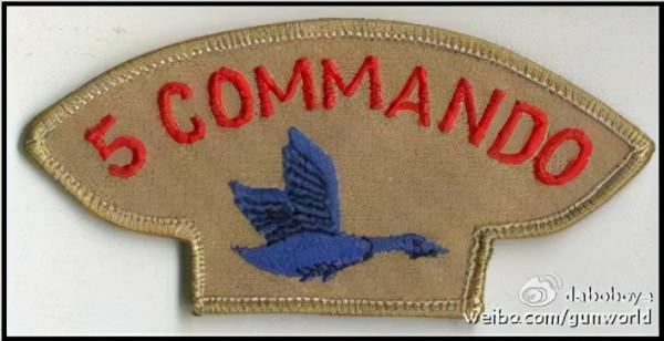 現實中的“野鵝敢死隊”——“瘋子麥克”和他的僱傭兵們