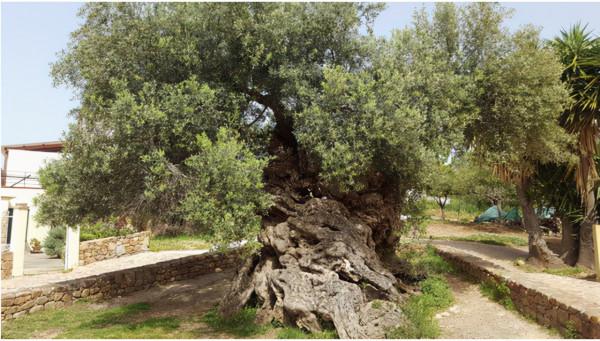 35張照片帶我們領略大自然的狂野