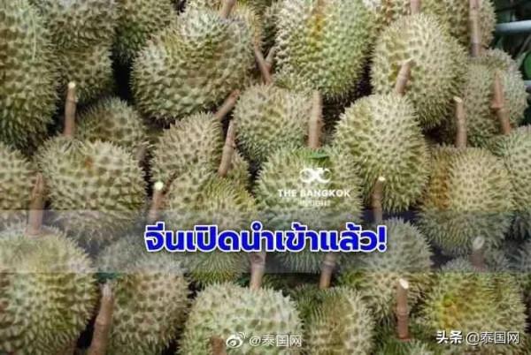 泰國進口水果1月4日起可自中國憑祥口岸通關