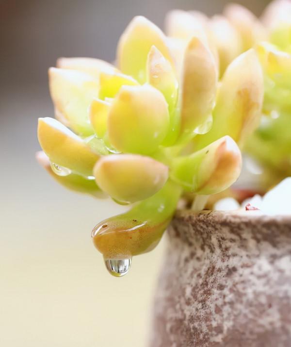 人生,有時不妨來點自嘲,十二首自嘲的詩詞,總有一句適合你 人生,有時不妨來點自嘲,十二首自嘲的詩詞,總有一句適合你