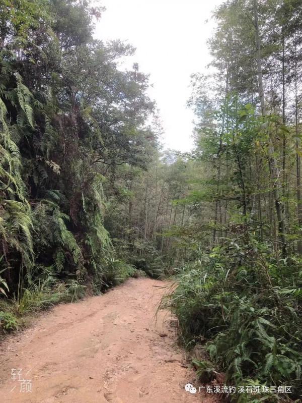 釣點 美景 魚獲——我們在路上（尋找溪釣 探釣點）