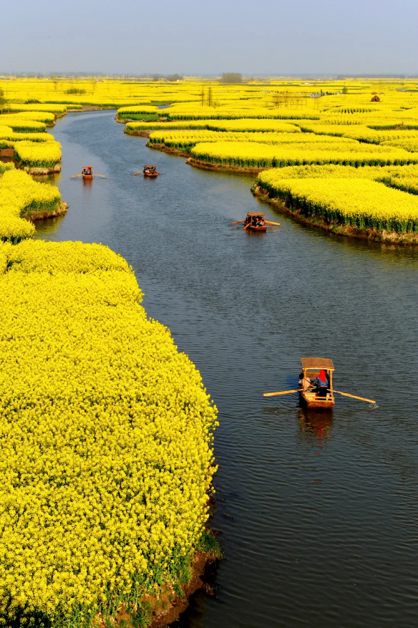 ​陽春3月，草長鶯飛！3月最值得去的12個旅行地，不需攻略，不費錢