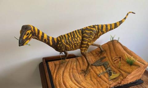 巴西發現新恐龍物種化石 該恐龍一生都不長牙