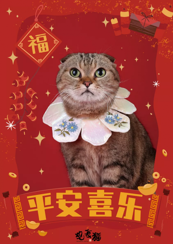 觀復貓拜大年，嗷嗚