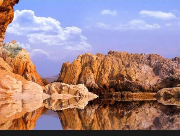 從陰陽八卦看世界 從陰陽八卦看世界