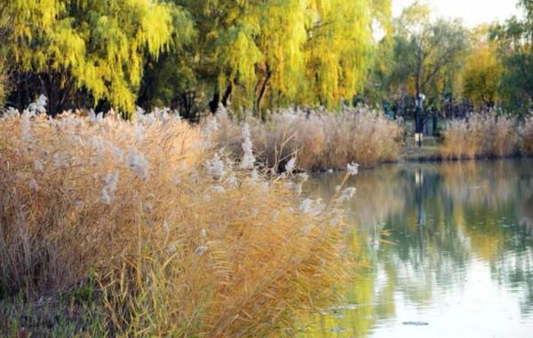 心理學:情商低的人,拎不清這3樣“東西” 心理學:情商低的人,拎不清這3樣“東西”