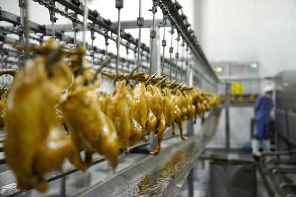 買年貨，別放過北方6個省的特產美食，各選出3樣，過年有口福了