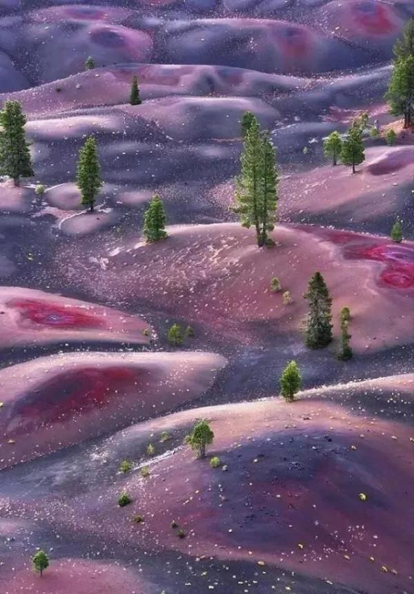 分享圖片&mdash;&mdash;奇美純淨風景集錦