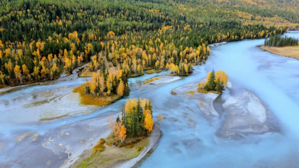 大美秋天！每一張都是桌布
