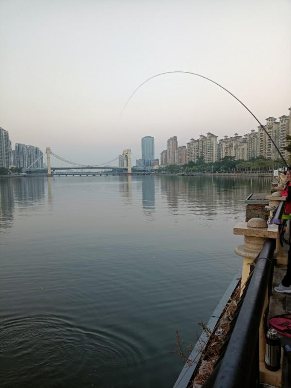 苦守大魚不如改變釣法，說不定也會有驚喜