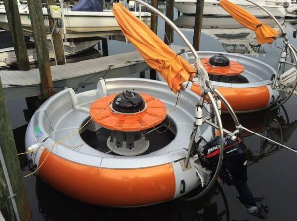 1891歲大樹的年輪，大象推翻汽車，喜鵲騎著白頭鷹，鬣狗飼養員