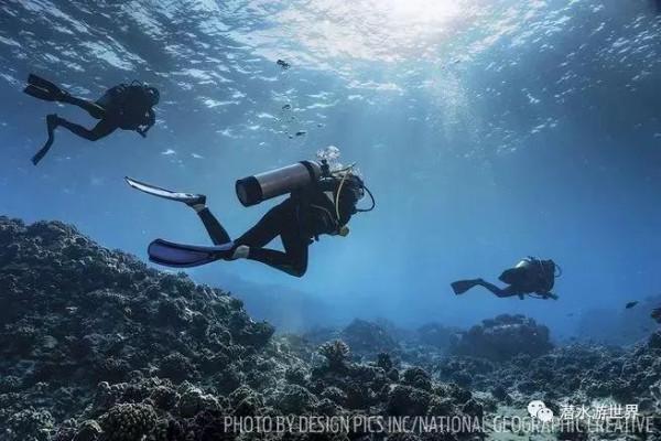 犧牲7條人命，從湖中撈出18箱納粹財寶，開啟一看，裝滿30億假鈔