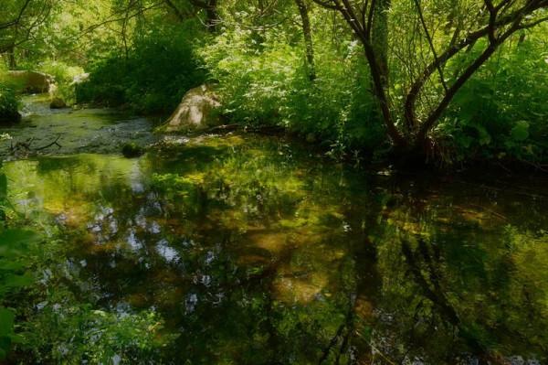 「玉渡山遊記」——溯溪兼聽水,信步玉渡山 「玉渡山遊記」——溯溪兼聽水,信步玉渡山