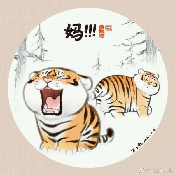 虎年收“萌”虎，萌寵大作戰