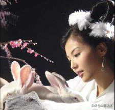 玉兔外傳——走近玉兔與吳剛的愛情傳奇