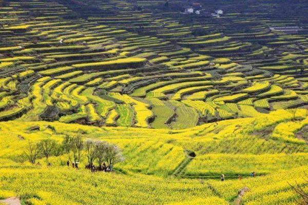 浙江十大冷門景點，人少景美好玩