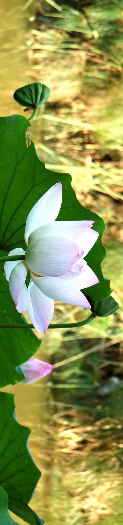 成年人玩得這麼野，小心把命都玩丟了