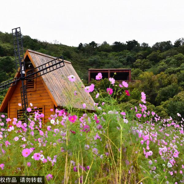 北京小眾拍照打卡地，童話城堡超出片！近郊遊必選~