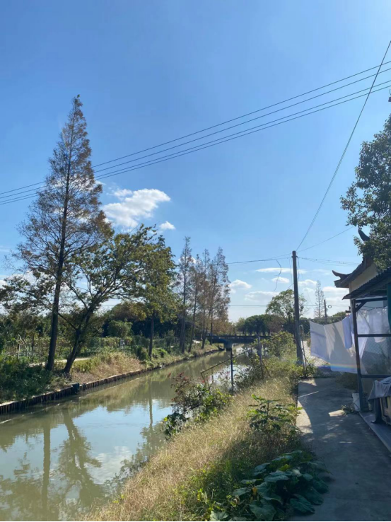 荷庭農家小院 | 純樸與藝術結合在一起,來過你就會愛上 荷庭農家小院 | 純樸與藝術結合在一起,來過你就會愛上
