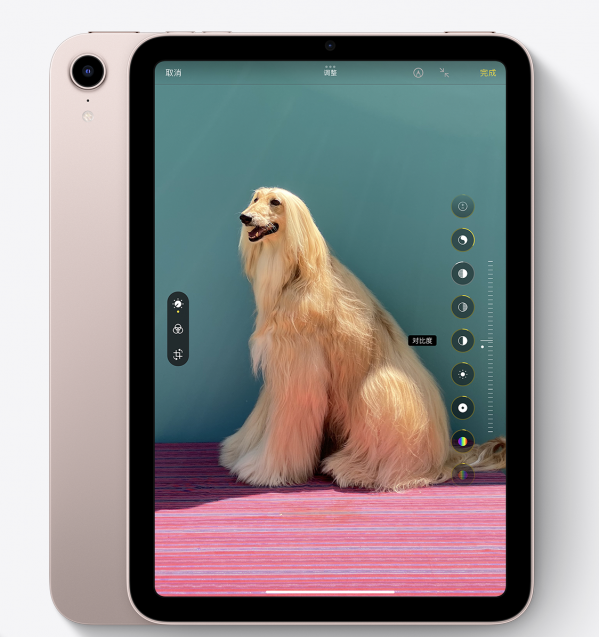 2021新款iPad mini，大圖一次看個夠