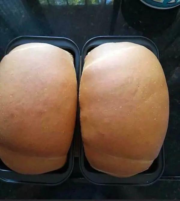 40張一眼會看錯的照片，大腦欺騙了你