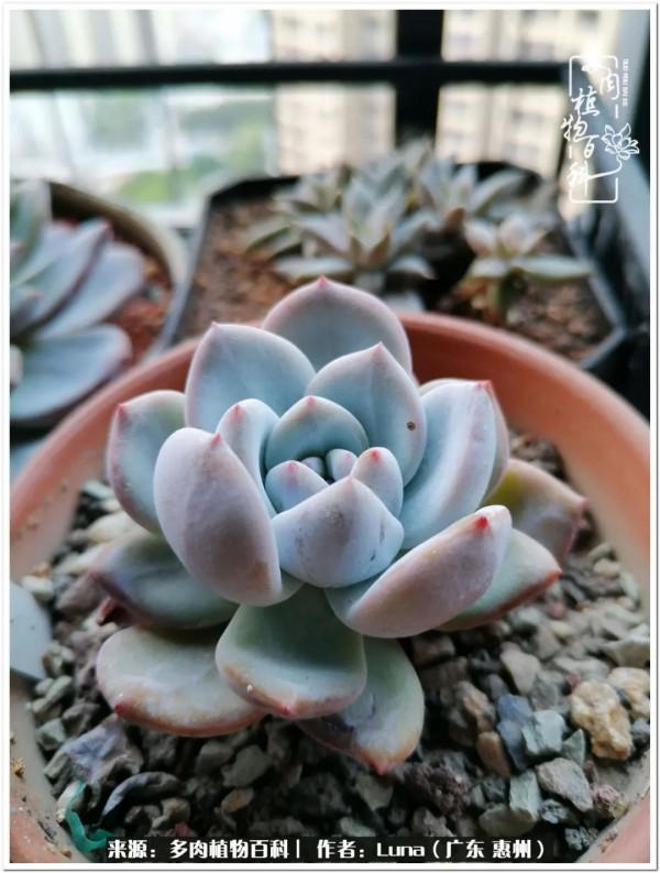 學會和解:與自己、與他人、與世界 學會和解:與自己、與他人、與世界