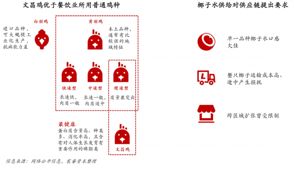 萬億“健康火鍋”賽道,一隻椰子雞的想象力有多大? 萬億“健康火鍋”賽道,一隻椰子雞的想象力有多大?