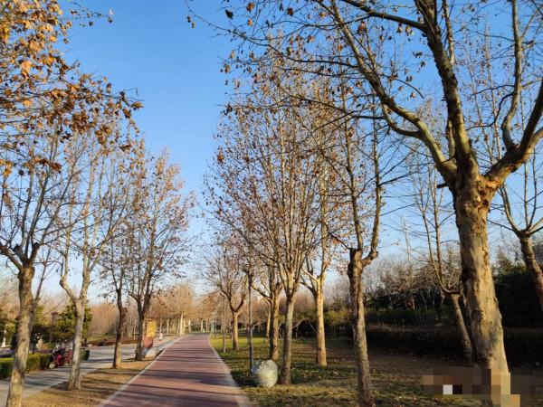 今日讀資治通鑑之所得：方法不對，努力白費