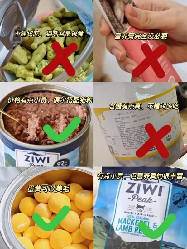 養貓人這些坑千萬別踩啦