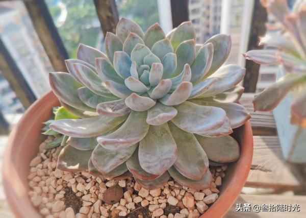 生活日記:中秋佳節,收到了節日“驚喜”—上班 生活日記:中秋佳節,收到了節日“驚喜”—上班