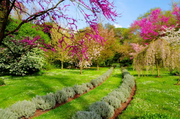 紐約時報評選最美花園榮歸義大利 被譽為伊甸園的寧法花園 紐約時報評選最美花園榮歸義大利 被譽為伊甸園的寧法花園