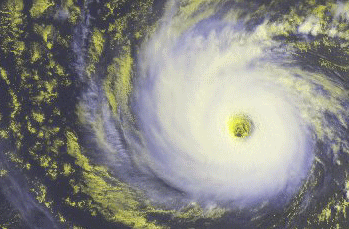 地球上的森林面積增加1倍後會發生什麼？人類將難以承受後果